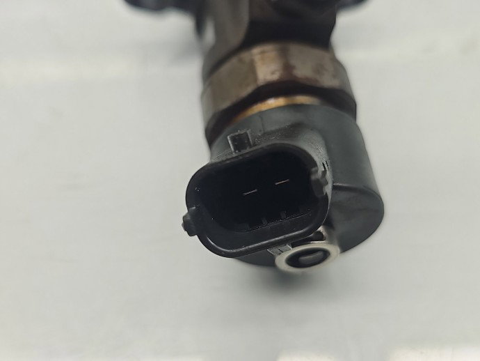 Injector Citroen C3 (I) [ Fabr 2002-2009] 0445110259 1.6 TDCI G8DB 80KW / 109CP