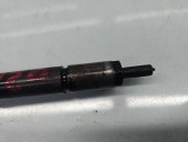 Injector Citroen C3 (I) [ Fabr 2002-2009] 0445110259 1.6 TDCI G8DB 80KW / 109CP