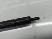 Injector PEUGEOT 307 [Fabr 2000-2008] 0445110259 1.6 TDCI G8DB 80KW / 109CP