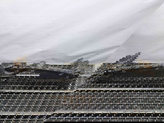 Suport central bara fata Mercedes Clasa E (W212) [Fabr 2009-2016] A2128801403