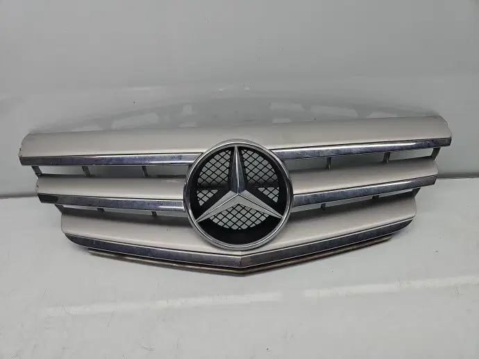 Grila bara fata Mercedes Clasa B (W245) [Fabr 2005-2011] Monovolum A2078880260