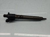 Injector Volvo V70 III (P80) [Fabr 2007-2016] 31303238 2.0 D5204T2 120KW / 163CP