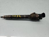 Injector Volvo S80 II [Fabr 2006-2016] 30750283 2.4 D5244T4 136KW / 185CP