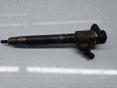Injector Volvo V70 III (P80) [Fabr 2007-2016] 30750283 2.4 D5244T4 136KW / 185CP