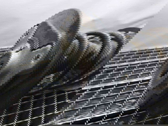 Amortizor stanga fata Mercedes Clasa E (W212) [Fabr 2009-2016] A2123208838 2.2 CDI 651924  