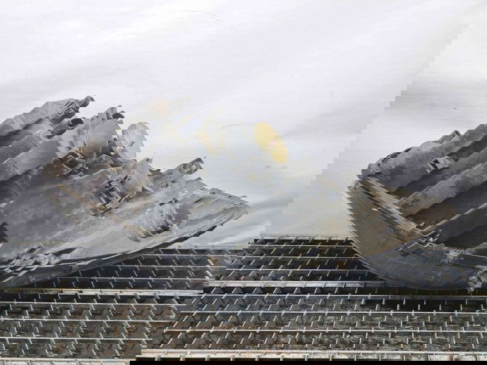  Far dreapta Mercedes Clasa A (W169) [Fabr 2004-2012] A1698200261