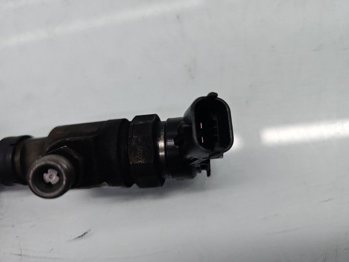 Injector PEUGEOT 1007 [Fabr 2004-2009] 0445110135 1.4 HDI 8HX 50KW / 68CP