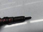 Injector Citroen C3 (I) [ Fabr 2002-2009] 0445110135 1.4 HDI 8HX 50KW / 68CP