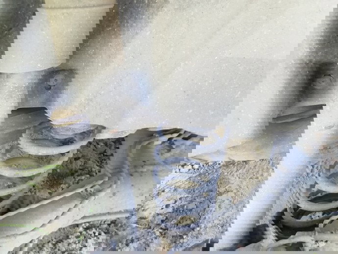 Arc dreapta spate Seat Ibiza 1.2 benz OEM 2008-2017