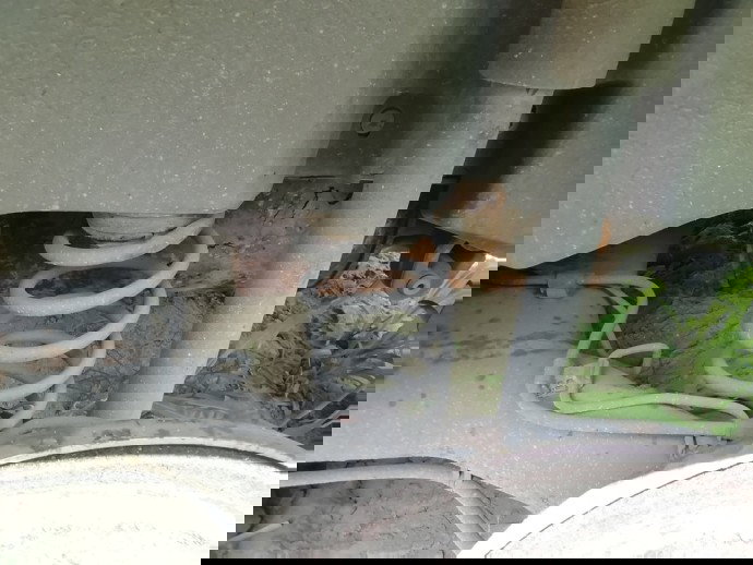 Arc stanga spate Seat Ibiza 1.2 benz OEM 2008-2017