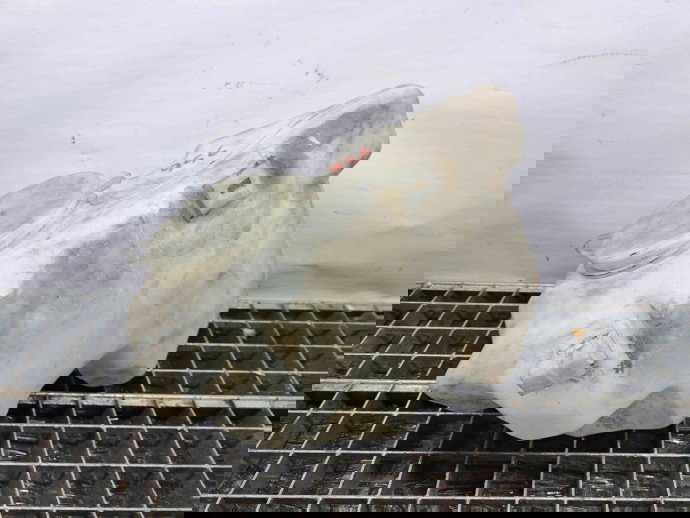  Vas lichid parbriz Mercedes Clasa A (W169) [Fabr 2004-2012] A1698690020