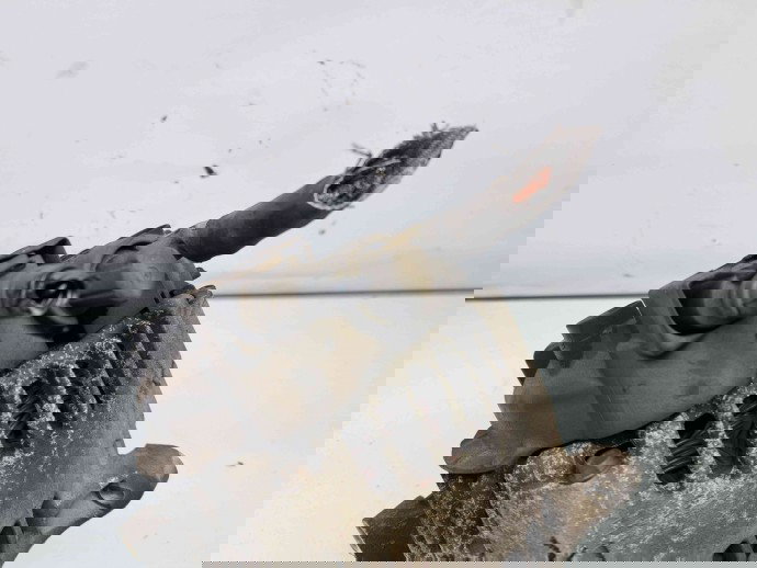 Alternator Mercedes Clasa A (W169) [Fabr 2004-2012] A6401540202 2.0 CDI 640942 60KW / 82CP  