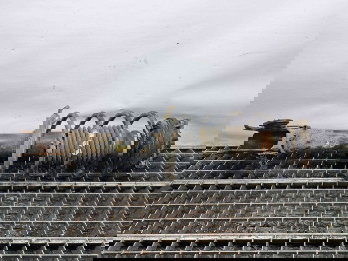 Amortizor stanga fata Mercedes Clasa A (W169) [Fabr 2004-2012] A1693200130 2.0 CDI 640942 2.0 CDI 640942 60KW / 82CP