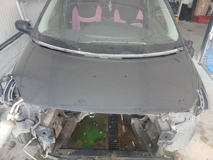 Capota motor Renault Scenic 2 [Fabr 2003-2008] Hatchback  GRI