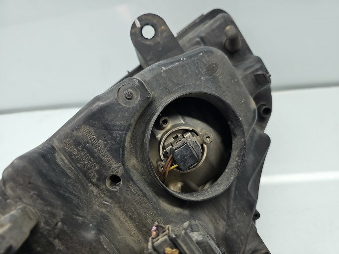 Far dreapta Renault Scenic 2 [Fabr 2003-2008] OEM