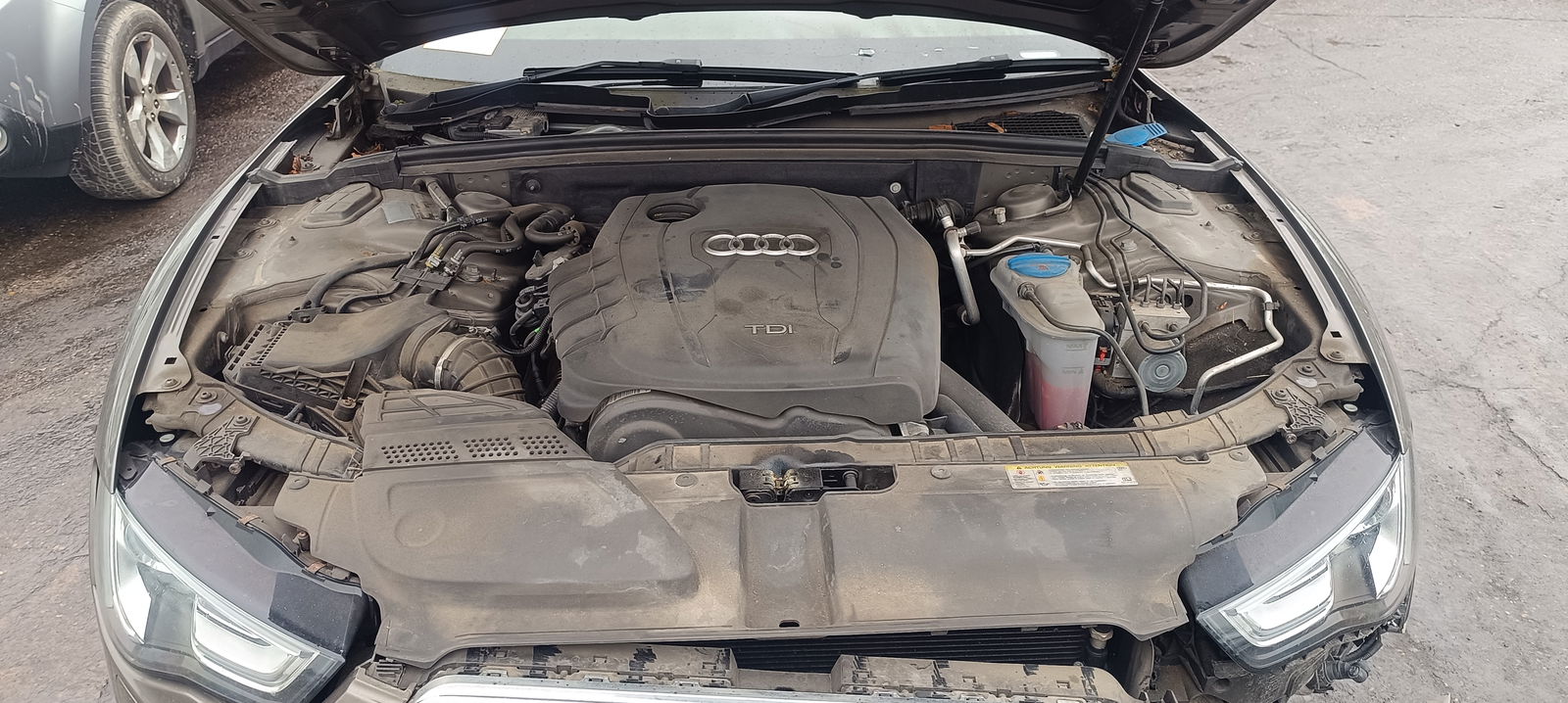 AUDI A5 Sportback (8TA) [Fabr 2009-2015]