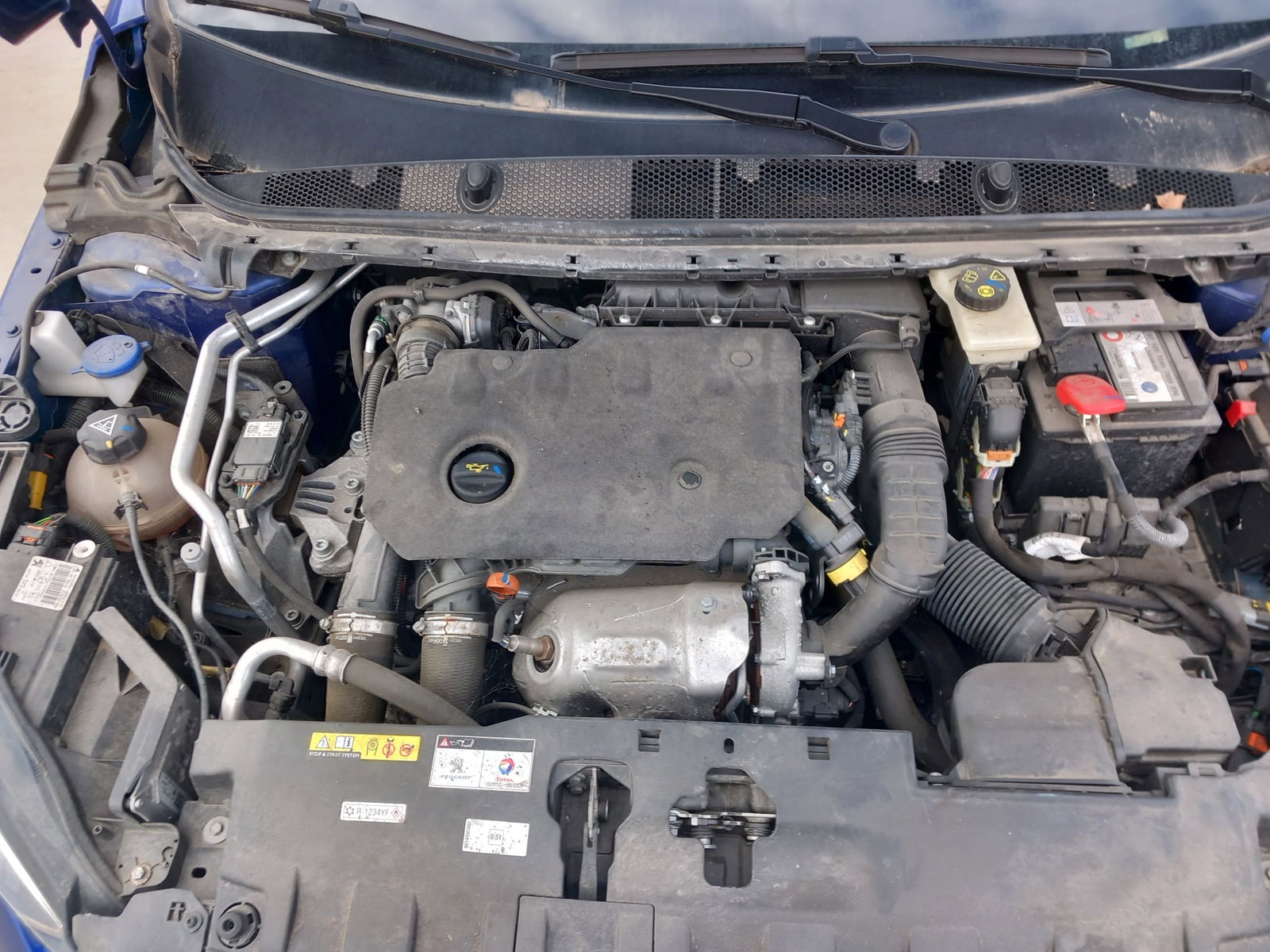 Peugeot 308 II GT-Line [Fabr 2019-2021]