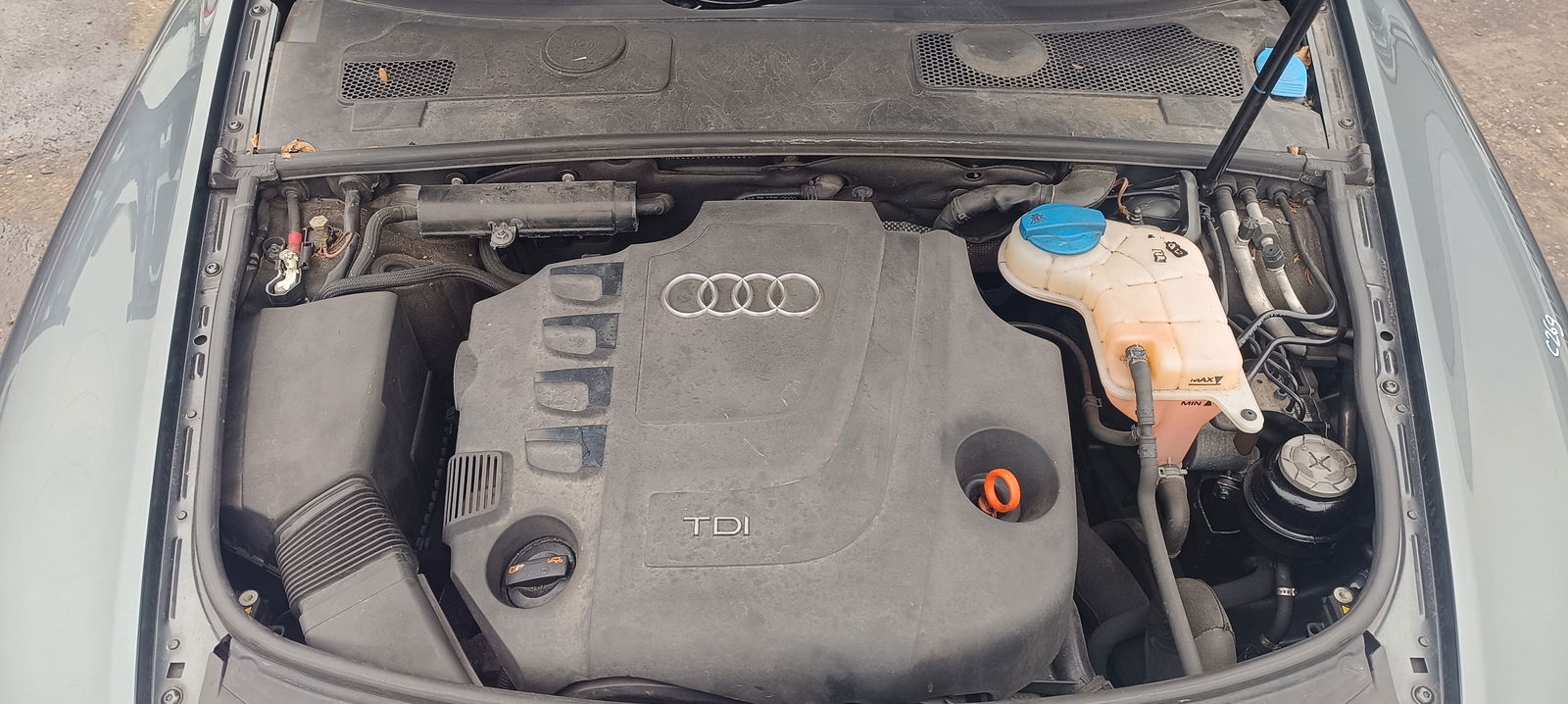 AUDI A6 (4F2, C6) facelift [Fabr 2004-2010]