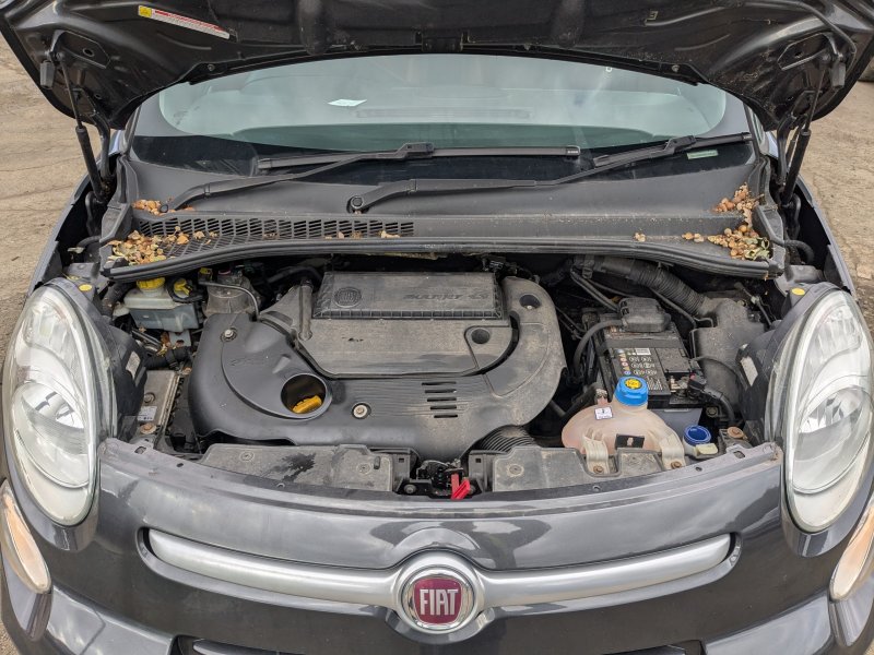 Fiat 500L Trekking [Fabr 2012-prezent]