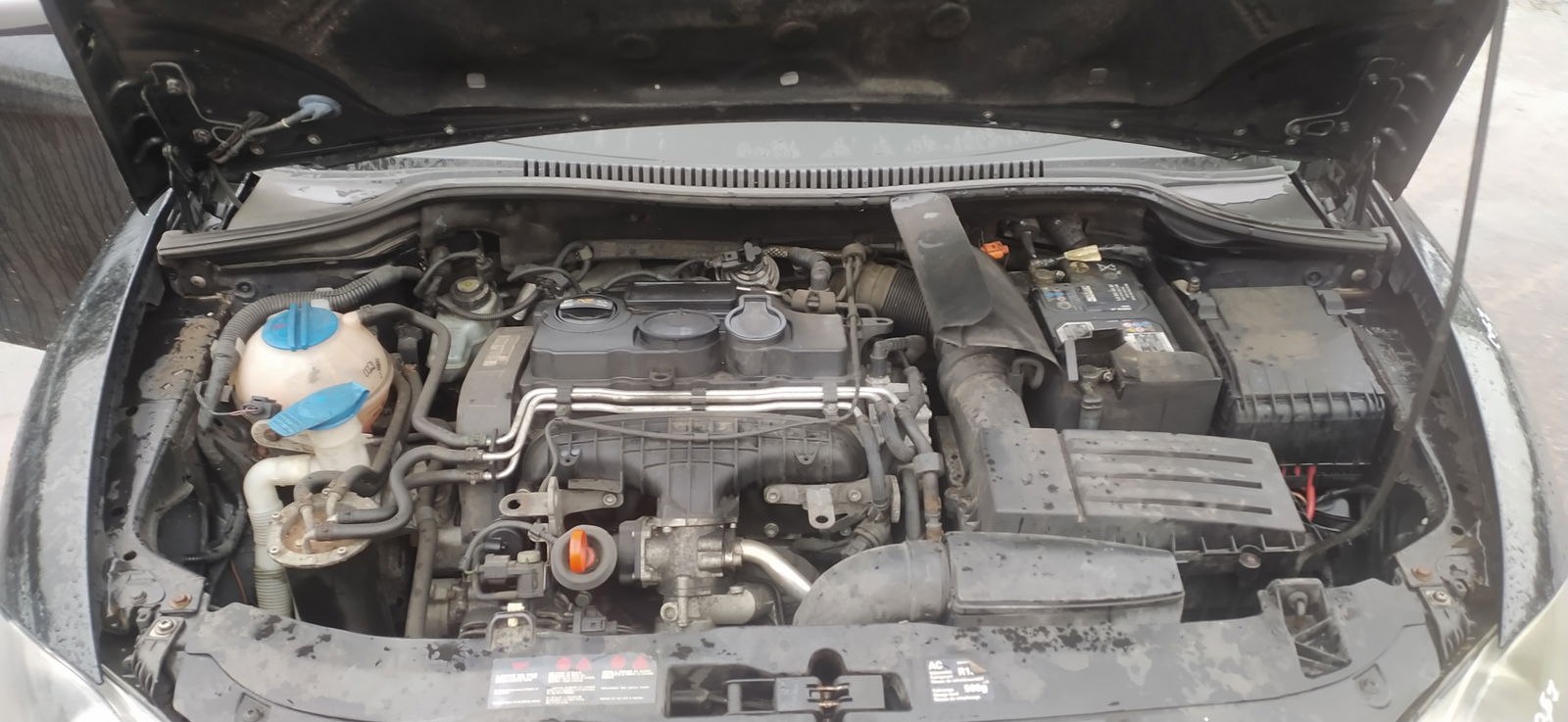 Seat Leon (1P1) [Fabr 2005-2011]