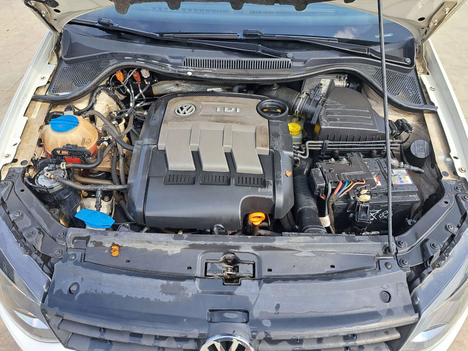 Volkswagen Polo (6R) [Fabr 2009-2016]