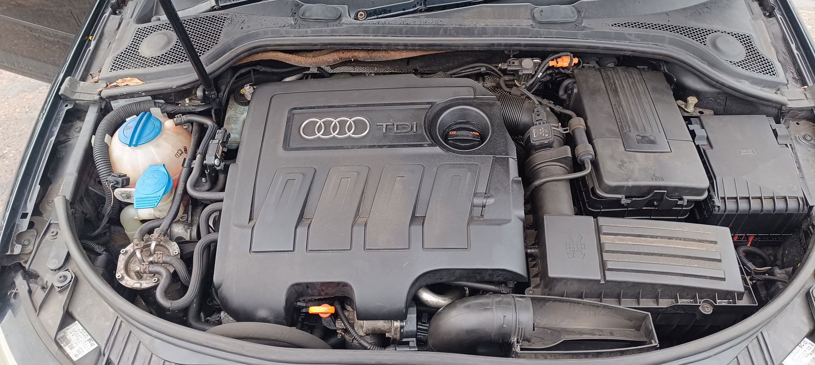 AUDI A3 Sportback (8PA) [Fabr 2004-2013] Facelift