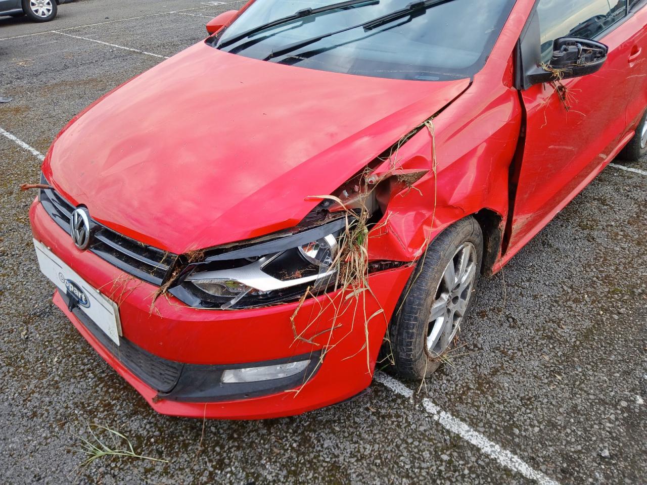 Volkswagen Polo (6R) [Fabr 2009-2016]