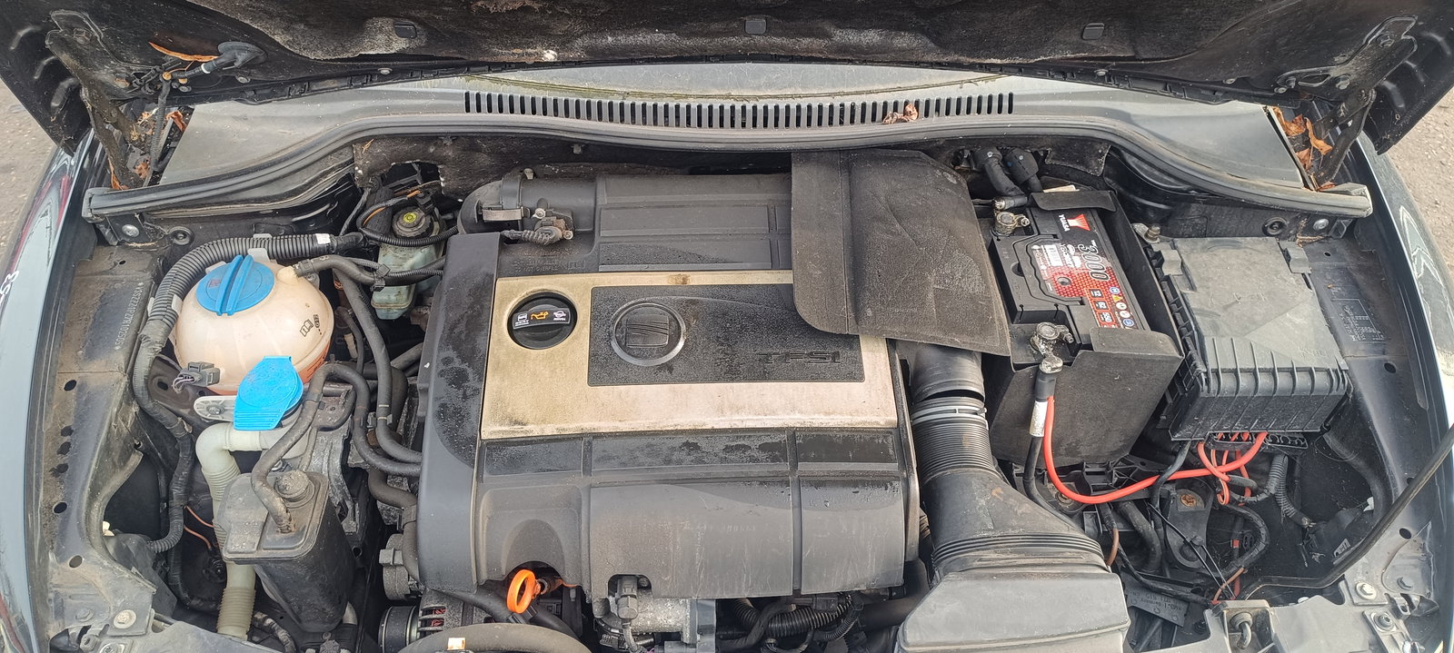 Seat Leon (1P1) [Fabr 2005-2011]